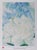White Rose with Larkspur Poster after Georgia O'Keeffe For Sale