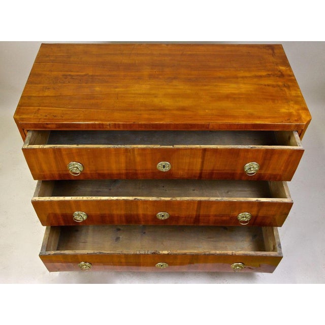 Gold 19th Century Biedermeier Chest of Drawers in Cherrywood, Austria, 1830s For Sale - Image 8 of 18