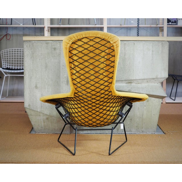 Harry Bertoia Bertoia Bird Chair in Hopsack Orange by Harry Bertoia for Knoll International, 1990s For Sale - Image 4 of 9