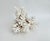 Exceptional Natural Brown Stem Coral Specimen For Sale - Image 9 of 11