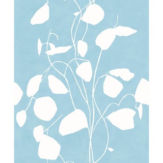 Sample - Money Plant Wallpaper by Susan Hable in Blue For Sale