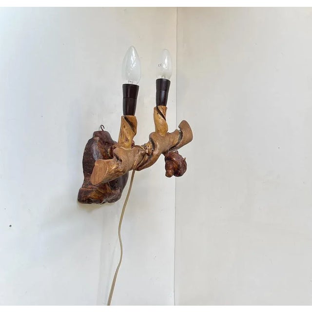 Italian Wall Sconce in Vine Tree, 1950s For Sale - Image 4 of 10
