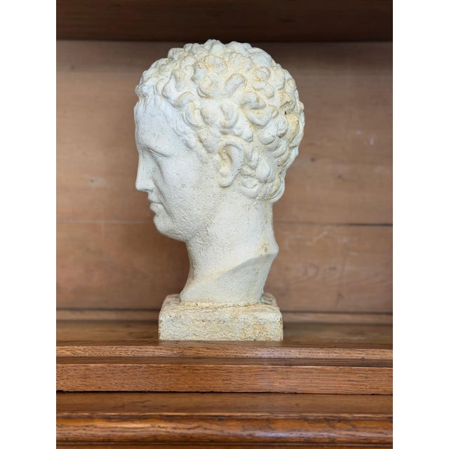 A beautifully weathered Italian cast stone garden bust, executed in the neoclassical taste with softly modeled features...