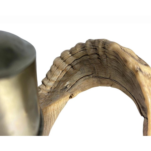 Pair of natural ram horn candlesticks with metal candle cups and ball feet, each accented with a lapis lazuli cabochon.