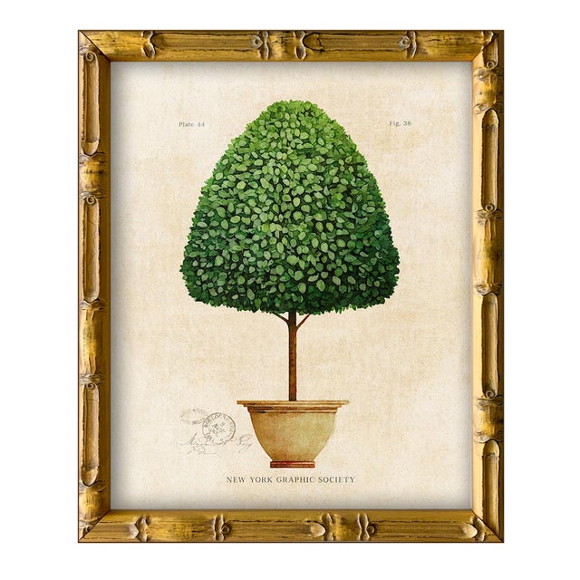 Illustration Framed Reproduction Vintage "Topiary Garden (Set of 4)" Art Prints For Sale - Image 3 of 7