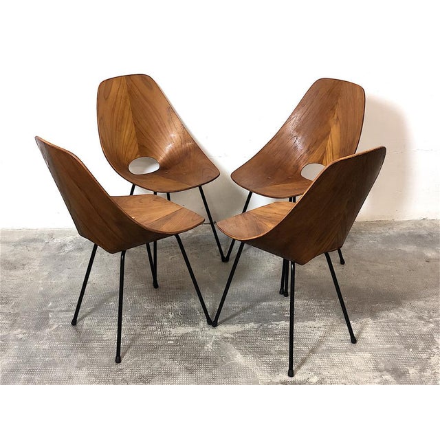 Black Dining Chairs attributed to Vittorio Nobili for Fratelli Tagliabue, 1950s, Set of 4 For Sale - Image 8 of 18