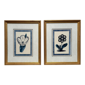 Late 20th Century Traditional Victorian Blue Floral Botanical Gold Framed Reproduction Prints, a Pair