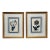 Vintage Traditional Victorian Blue Floral Botanical Gold Framed Reproduction Prints, a Pair For Sale
