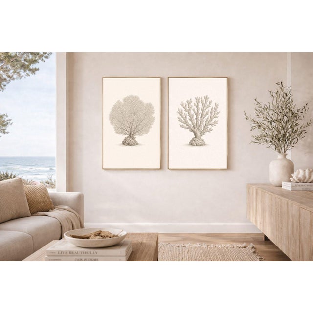 Not Yet Made - Made To Order Coastal Coral Study Set, Minimal Botanical Art Prints, 24" × 36" (Set of 2) For Sale - Image 5 of 8