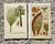 Illustration Vintage Boho Botanical Engravings - Set of 2 For Sale - Image 3 of 8