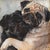 French Provincial Two Pug Dogs Puppies Hugging Portrait Painting Including the Antiqued Gold Wood Frame For Sale - Image 3 of 5
