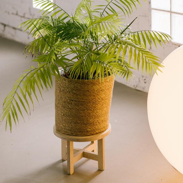 Big Packa Side Table by Debosc For Sale - Image 6 of 16