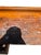 Mid-20th Century Industrial Solid Wood Carpenter's Workbench Console Table For Sale - Image 14 of 18