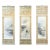 Triptych Scroll Paintings by Watanabe Seitei Meiji Period - Set of 3 For Sale - Image 13 of 13