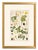 An elegant and highly decorative pair of original hand-colored botanical engravings from Dr. David Nathaniel Friedrich...