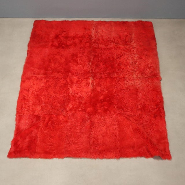 Antique Tulu Rug in Wool For Sale - Image 3 of 8
