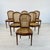 French Louis XVI Style Dining Chairs - Set of 6 For Sale - Image 3 of 9