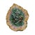 Griffin Smith & Hill Etruscan Majolica Begonia Leaf Plate 9.25" For Sale In San Francisco - Image 6 of 11