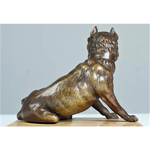 Antique Bronze Bulldog, Late 19th Century For Sale - Image 4 of 8