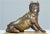 Antique Bronze Bulldog, Late 19th Century For Sale - Image 4 of 8