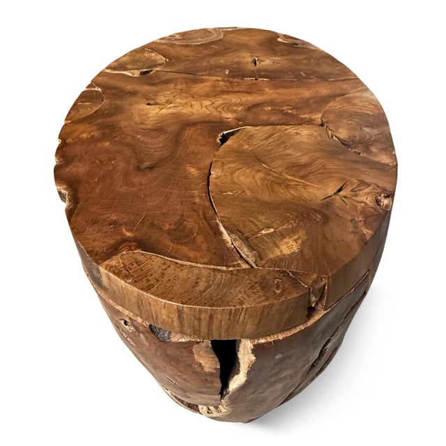 Contemporary Oval Teak Root Coffee Table For Sale - Image 3 of 10