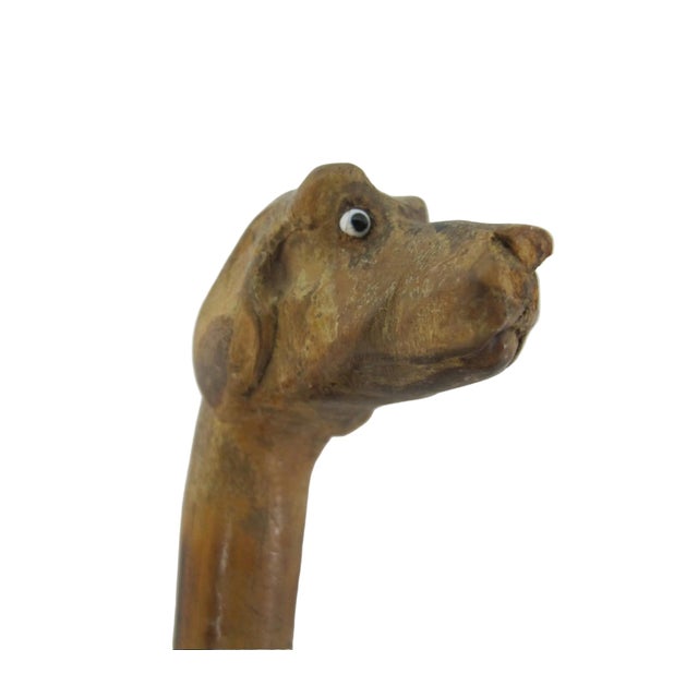 American Antique Dog Head With Beady Eyes Hand Carved Folk Art Walking Stick Cane For Sale - Image 3 of 9
