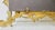 Victorian Brass Frame in the Rococo manner. Elaborate architectural frame with stairs, columns, and balustrade. Also,...