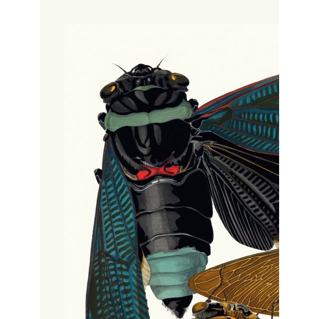 Vintage insect art print reproduction by Emile-Allain Séguy, featuring Art Deco–era cicada illustrations originally...