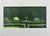 Edolo Masci, Garden, 1980s, Etching For Sale