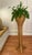 Vintage Monumental Coastal Rattan Wicker Plant Stand For Sale - Image 10 of 12