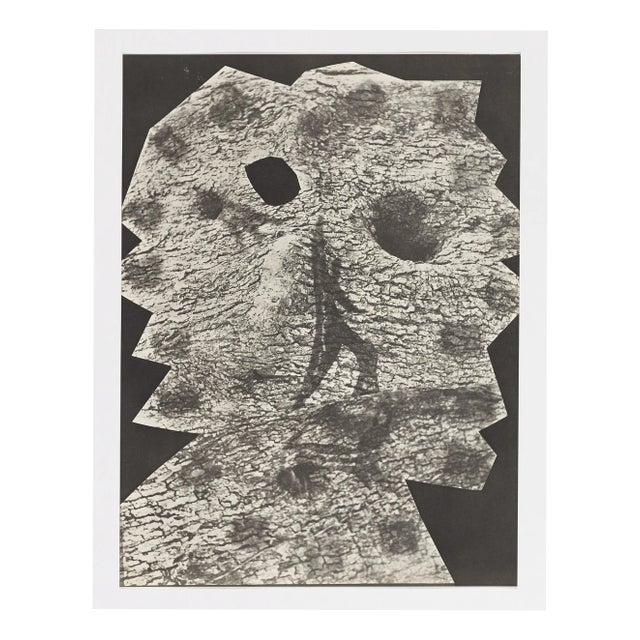 Pablo Picasso, Diurnes "Le plus profond silence", 1962, offset lithograph For Sale