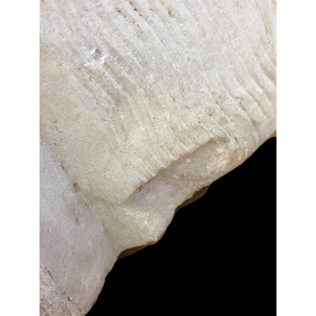 1940s Fine Art Deco Style Carved Marble Stylized Woman Bust Sculpture For Sale In Philadelphia - Image 6 of 7