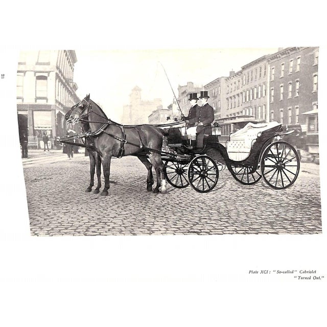 "Driving for Pleasure: Or, the Harness Stable and Its Appointments" 1896 Underhill, Francis T. For Sale - Image 10 of 12