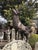 Metal Stag Sculpture in Bronzed Aluminium For Sale - Image 7 of 9