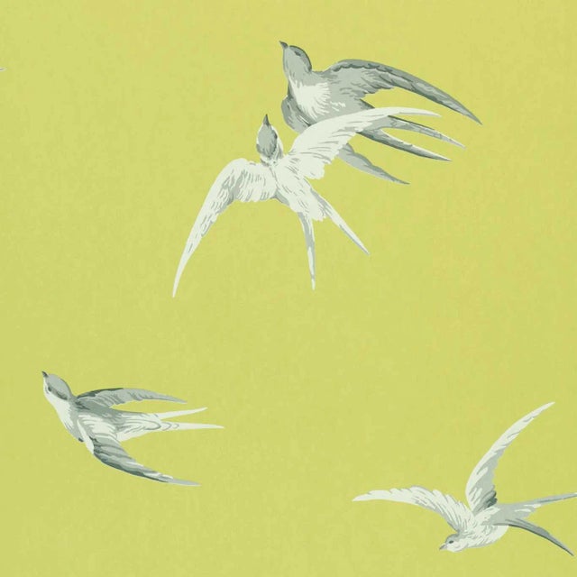 Sanderson Swallows Wallpaper in Lime - a Sample For Sale