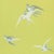 Sanderson Swallows Wallpaper in Lime - a Sample For Sale
