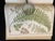 Heath's Fern Portfolio, 1885 Complete With 15 Chromolithographs For Sale - Image 12 of 18