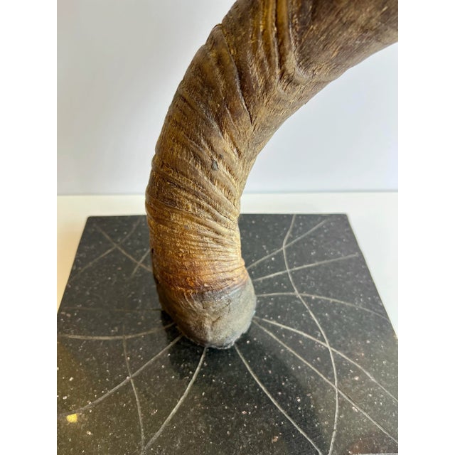 1960s 1960s Large Kudu Antelope Horn Turned Into a Table Lamp. For Sale - Image 5 of 7