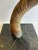 1960s 1960s Large Kudu Antelope Horn Turned Into a Table Lamp. For Sale - Image 5 of 7
