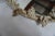 1930s 1930s Italian Painted Mirror With Leaves From Mla For Sale - Image 5 of 9