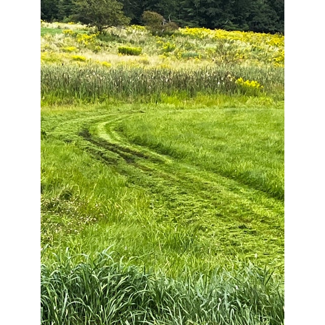 1970s Rattan Coffee Table For Sale - Image 11 of 12