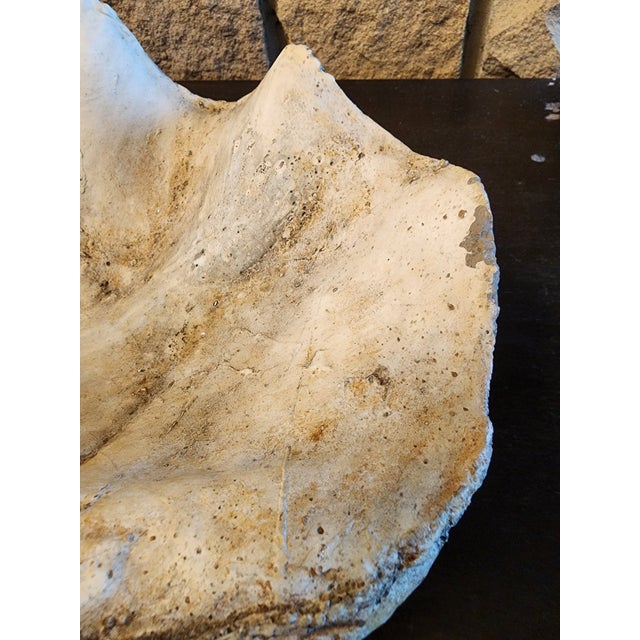 Metal Rare and Fabulous Antique Metal Swan Bird Feeder. For Sale - Image 7 of 11