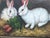 English Vintage Rabbit Oil Painting in Brown, Cream & Green With Carved Gilt Wood Frame For Sale - Image 3 of 14