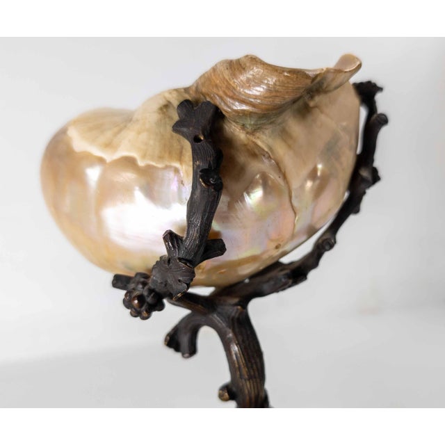 19th Century Continental European French or German Bronze With Turbo Shell, Kunstkammer Object For Sale - Image 12 of 14