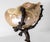 19th Century Continental European French or German Bronze With Turbo Shell, Kunstkammer Object For Sale - Image 12 of 14
