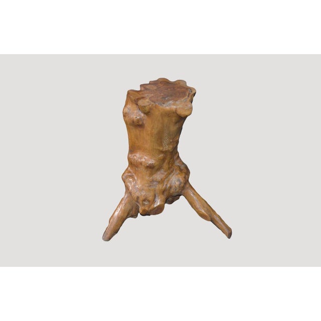 Contemporary Andrianna Shamaris Organic Teak Root Side Table For Sale - Image 3 of 5