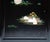 1920s C. 1920-1940s Chinoiserie Inlaid Coromandel Screen For Sale - Image 5 of 18