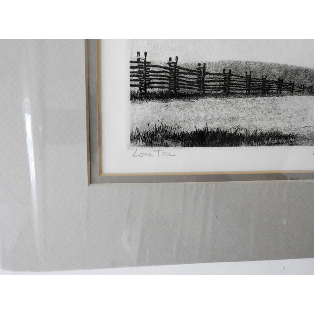 English Vintage Mid Century Lone Tree Landscape Etching For Sale - Image 3 of 6