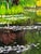Contemporary Steve Schaaf Among the Water Lilies Oil Painting For Sale - Image 4 of 11