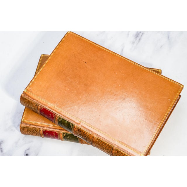 Nice 2 Volume the Life and Death of John Barneveld Advocate of Holland John Motely Full Leather Ornate Antique Books Home Office Decor For Sale In New York - Image 6 of 9